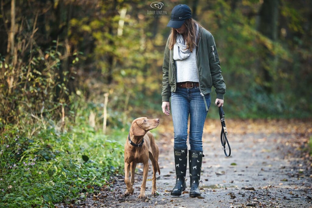 Professioneller Hundetrainer in Aachen, Monschau, Alsdorf, Herzogenrath, Würselen, Eupen