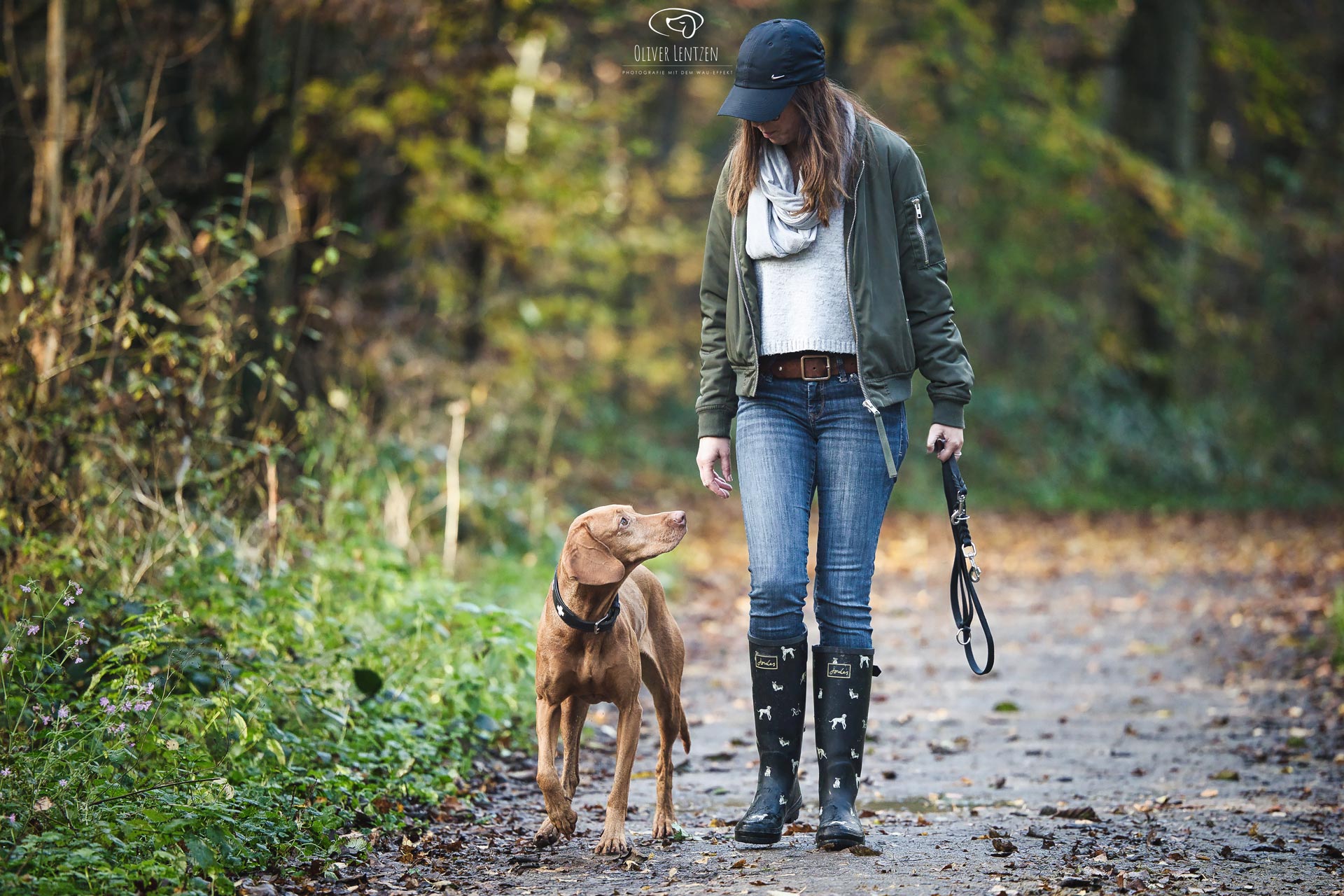 Professioneller Hundetrainer in Aachen, Monschau, Alsdorf, Herzogenrath, Würselen, Eupen