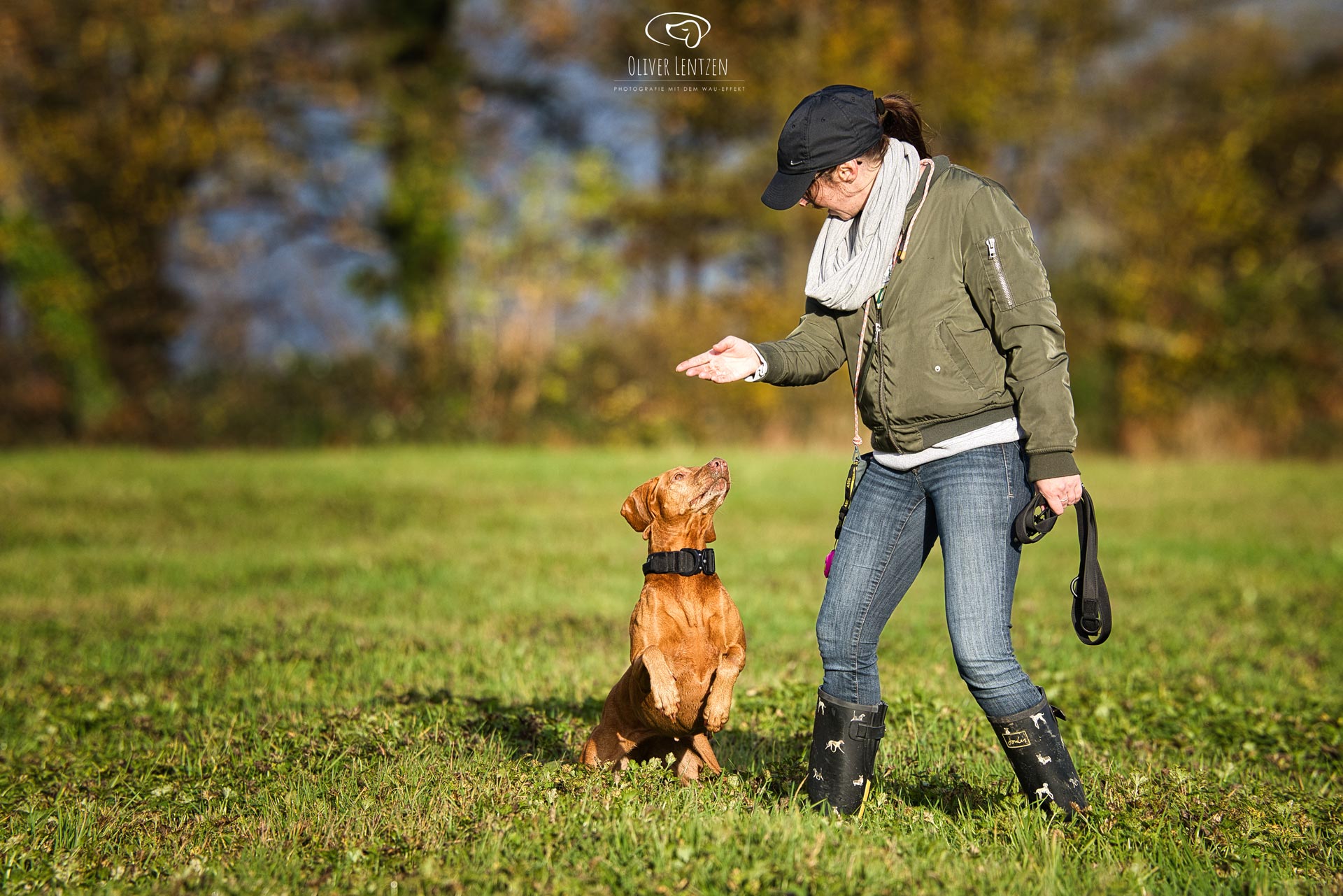 Hundetraining und Hundeerziehung in Aachen.