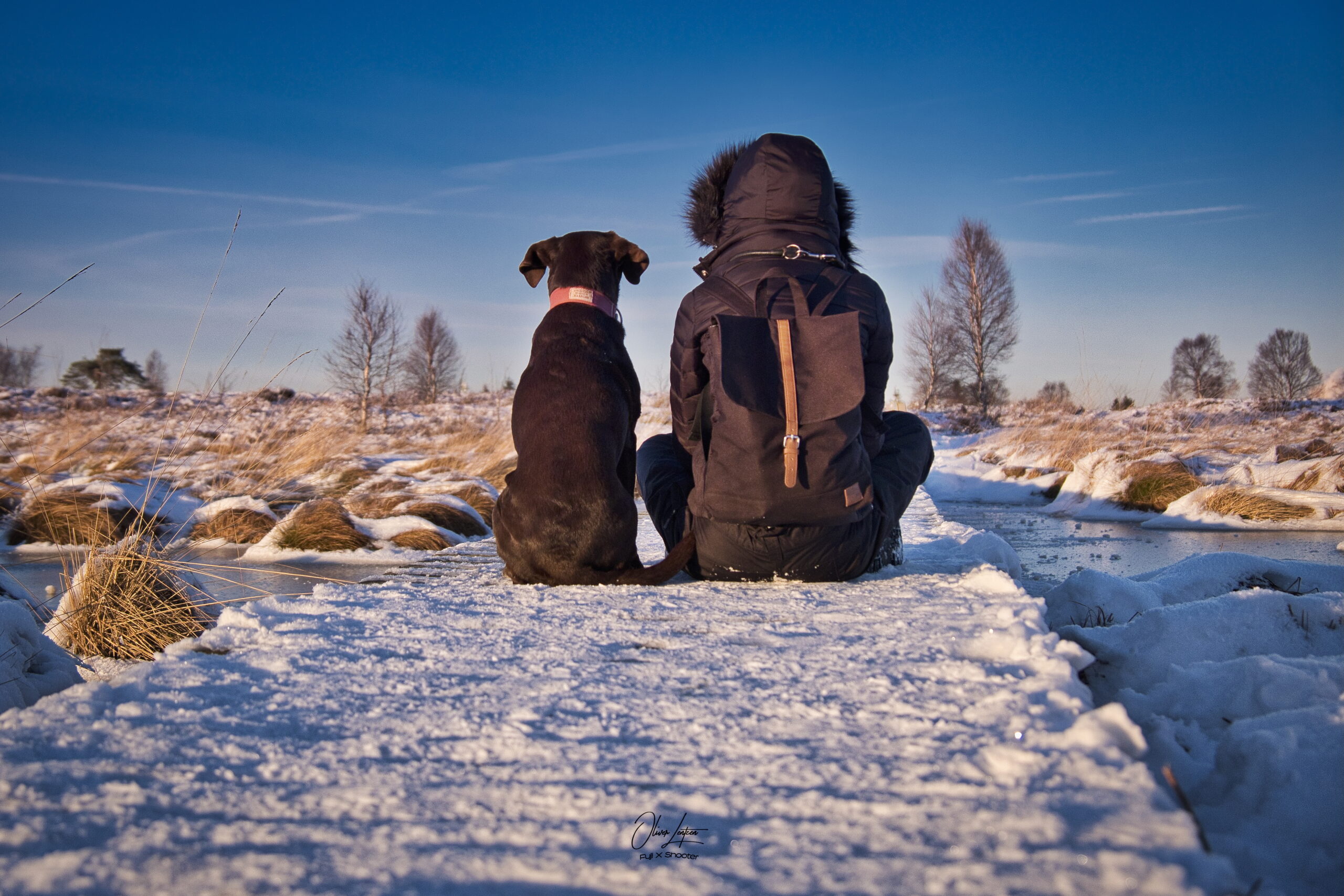 Hundetraining und Hundeerziehung ist das eine, die Auswahl des richtigen Hundes das Andere