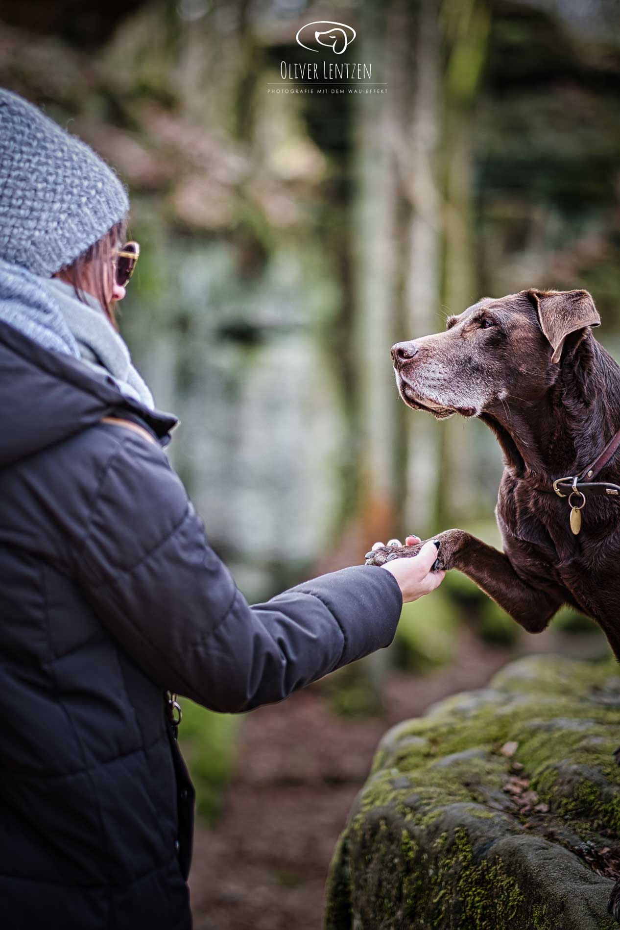 Hundekauf-Beratung Natascha Eckert Aachen - Zertifizierte Hundetrainerin