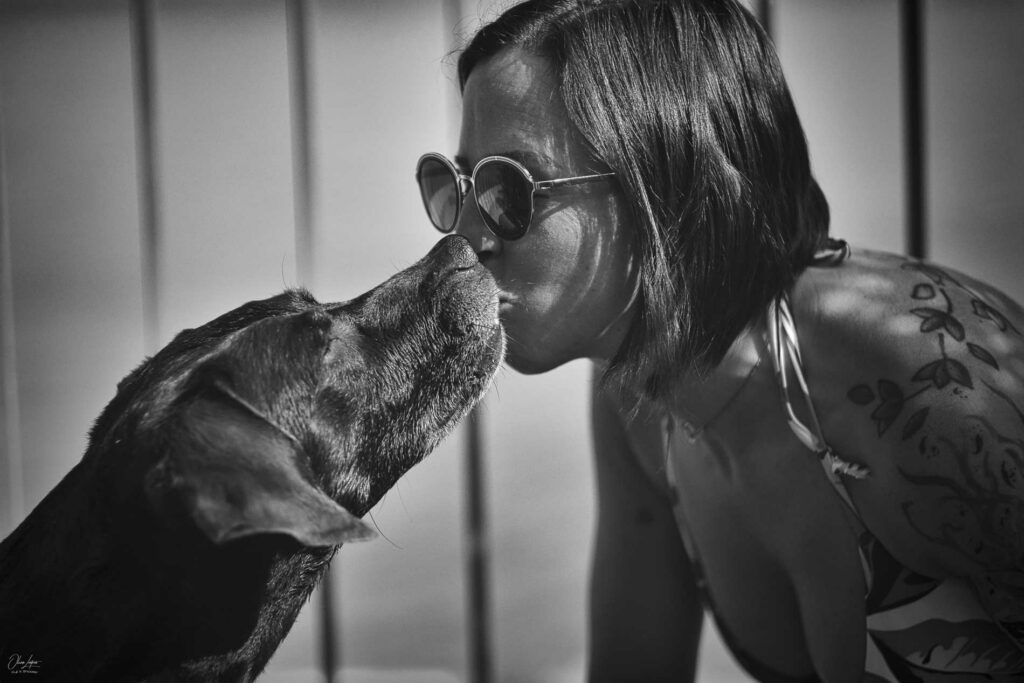 Hundetraining und Hundeerziehung in Aachen, Kornelimünster, Walheim, Schleckheim mit Natascha Eckert